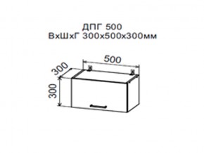 Шкаф верхний ДПГ500 горизонтальный в Советском - sovetskij.магазин96.com | фото