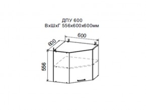 Шкаф верхний ДПУ600 угловой в Советском - sovetskij.магазин96.com | фото